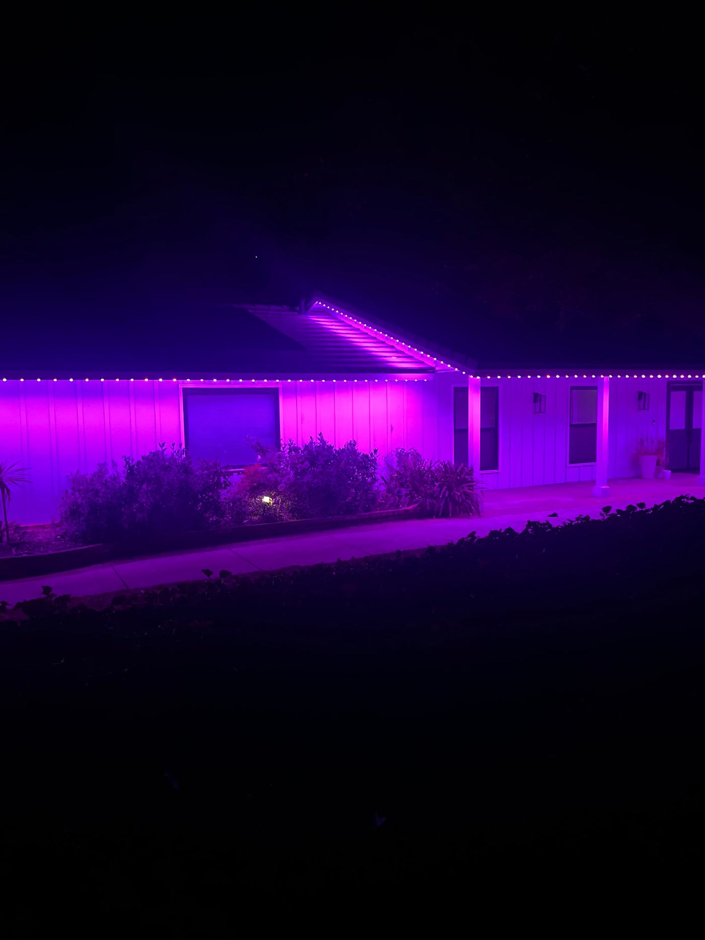 Purple permanent lights across a single-story roofline